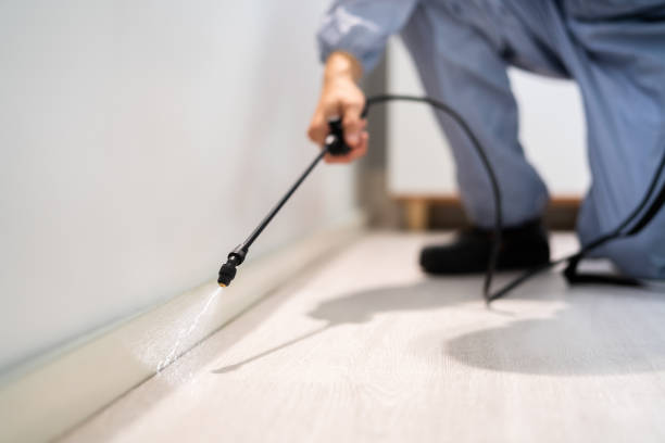 Bed Bug Pre-Treatment Preparation Assessment in Fords