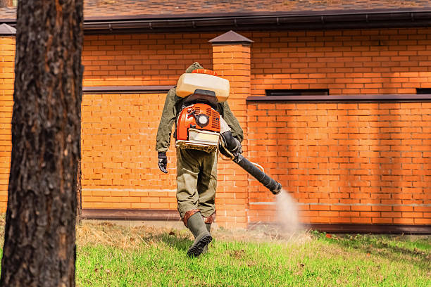 Bed Bug Clearance Verification and Documentation in Fords